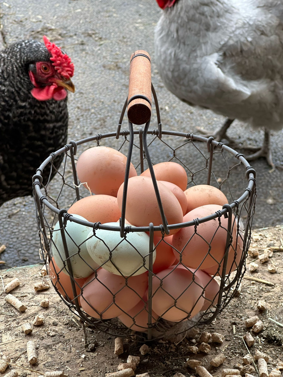 Eggs